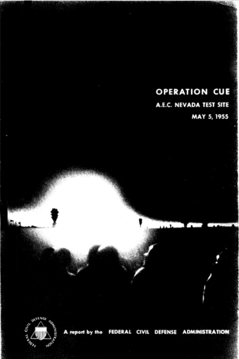 operation-cue