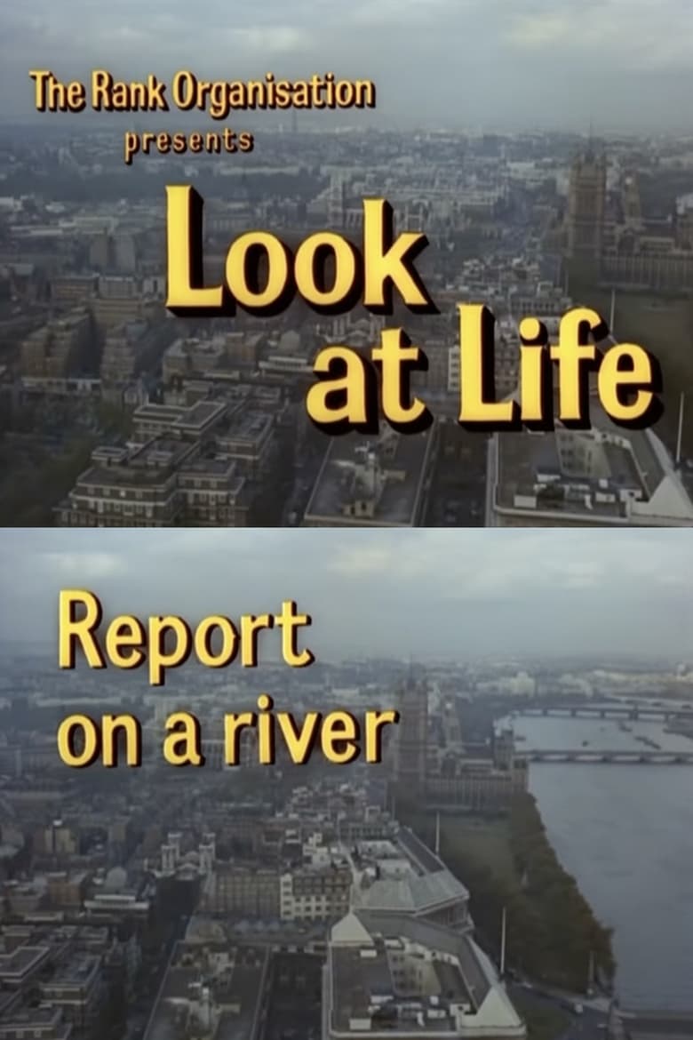 look-at-life-report-on-a-river