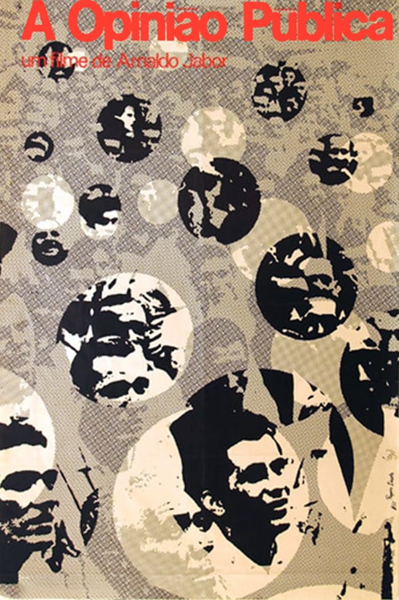 a-opinião-publica