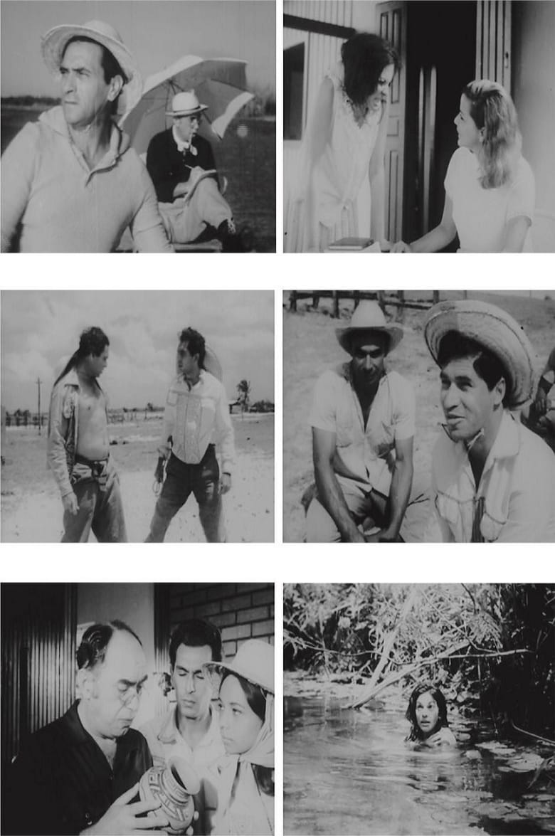 marajo-barreira-do-mar