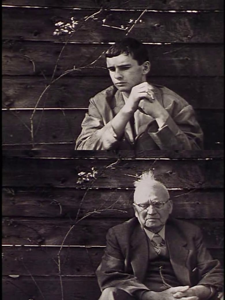 vakantie-van-de-filmer