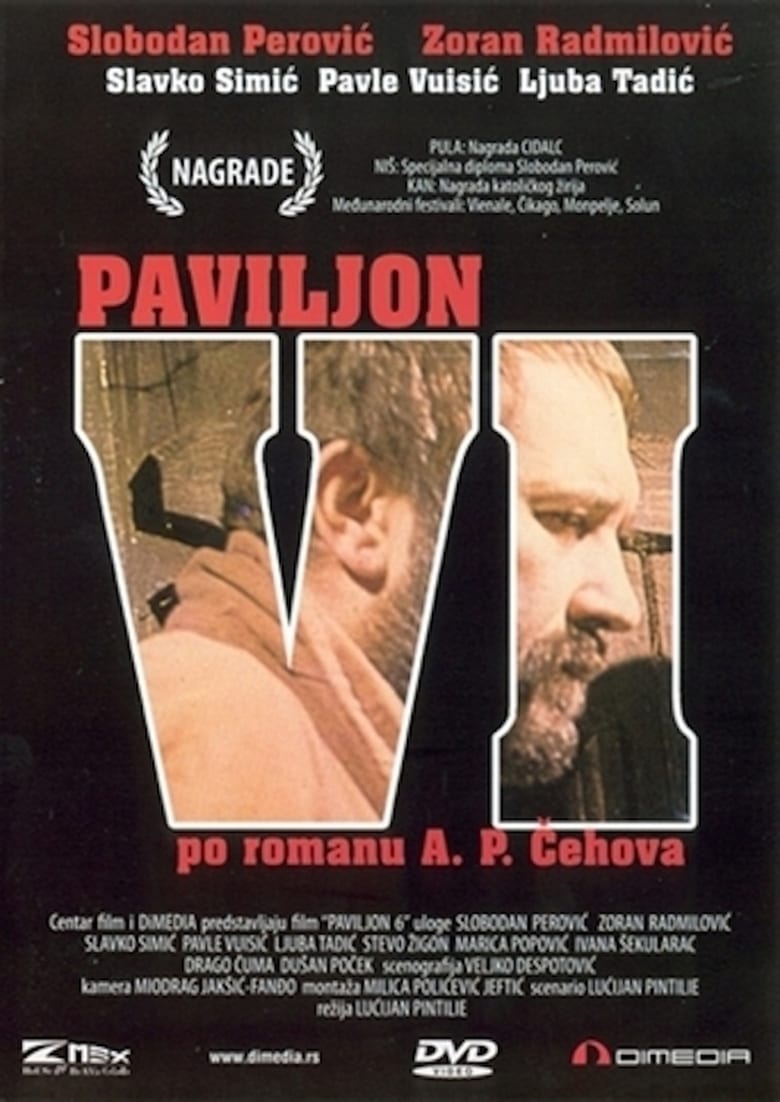 paviljon-vi