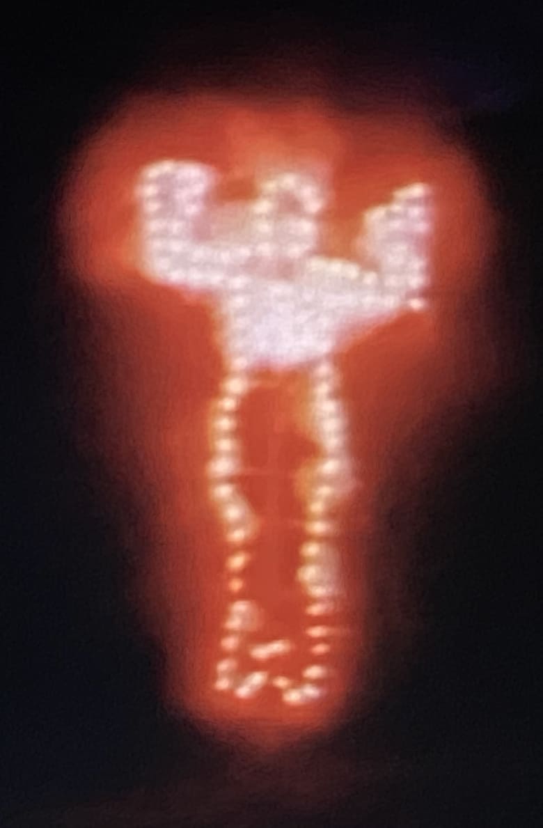 ana-mendieta-fuego-de-tierra