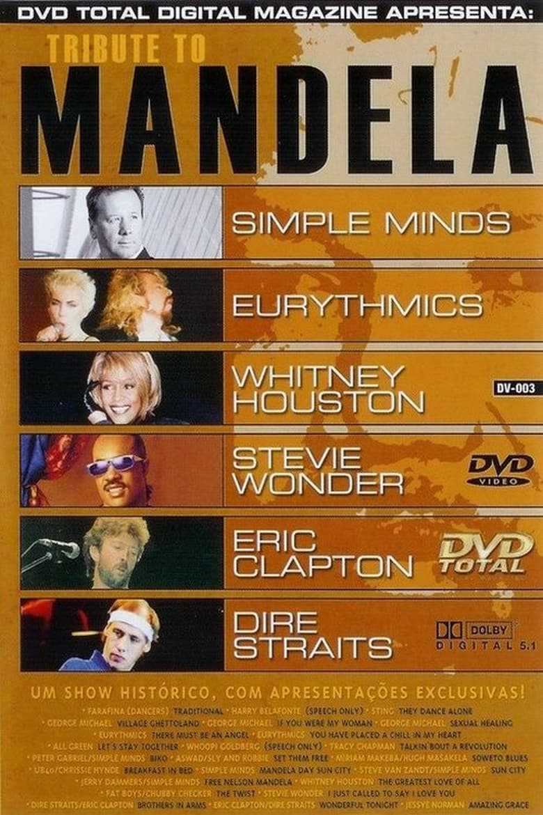 the-nelson-mandela-70th-birthday-concert