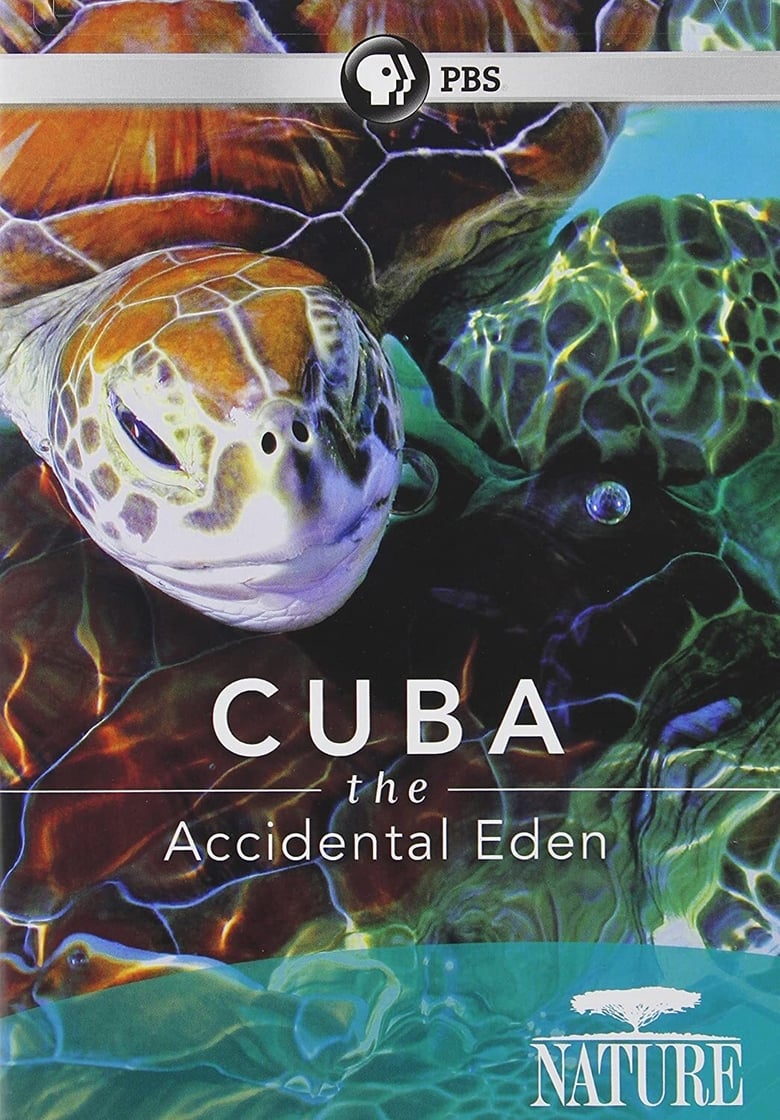 cuba-eden-accidental