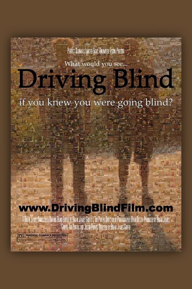 Driving Blind