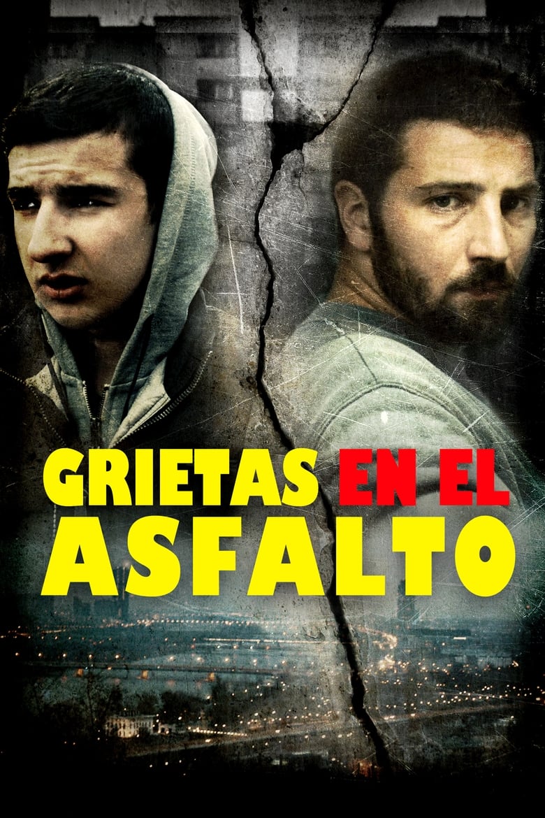 Grietas en el Asfalto