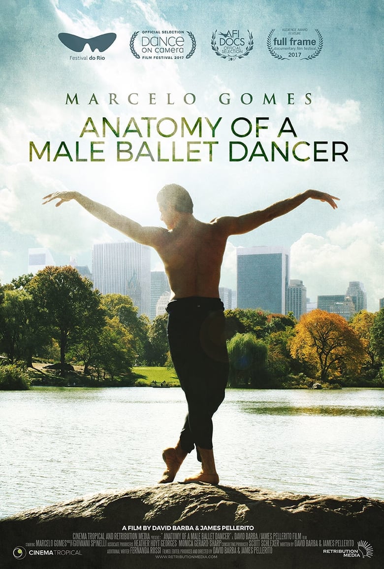 Cartel de anatomy-of-a-male-ballet-dancer