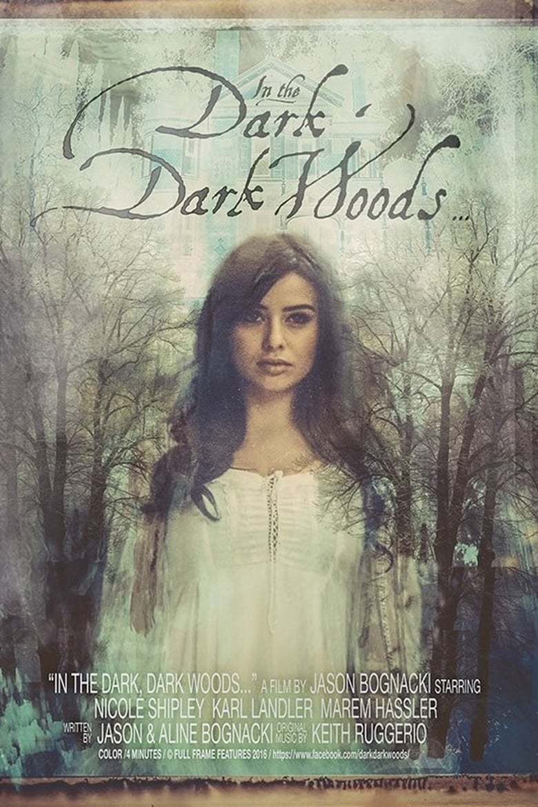 Cartel de in-the-dark-dark-woods