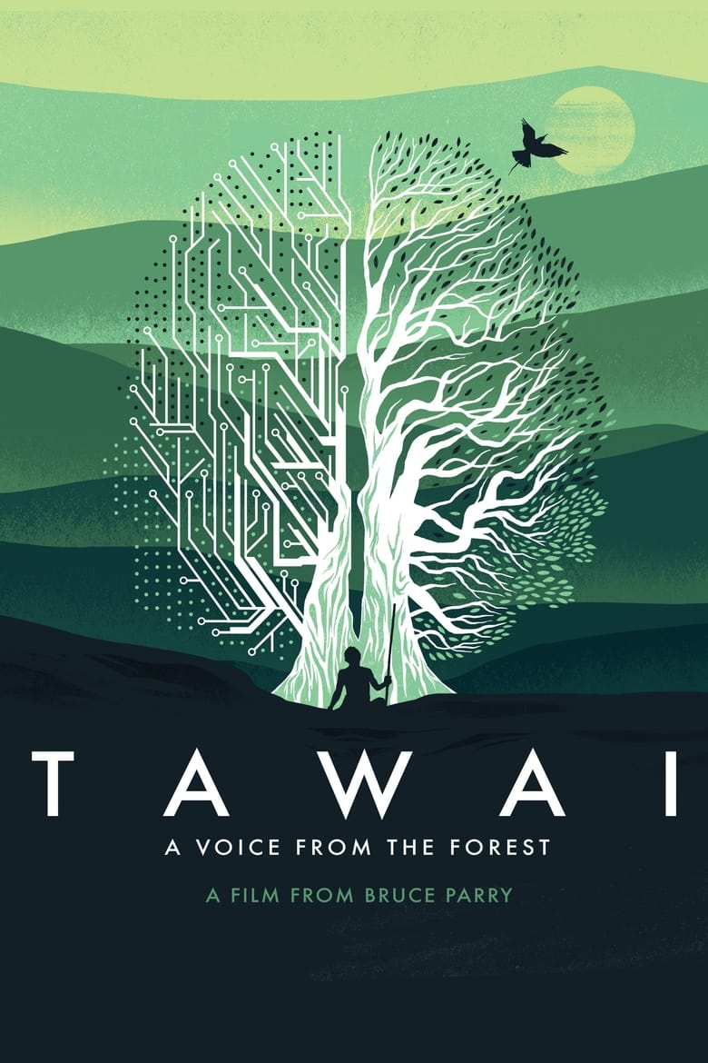 Cartel de tawai-a-voice-from-the-forest