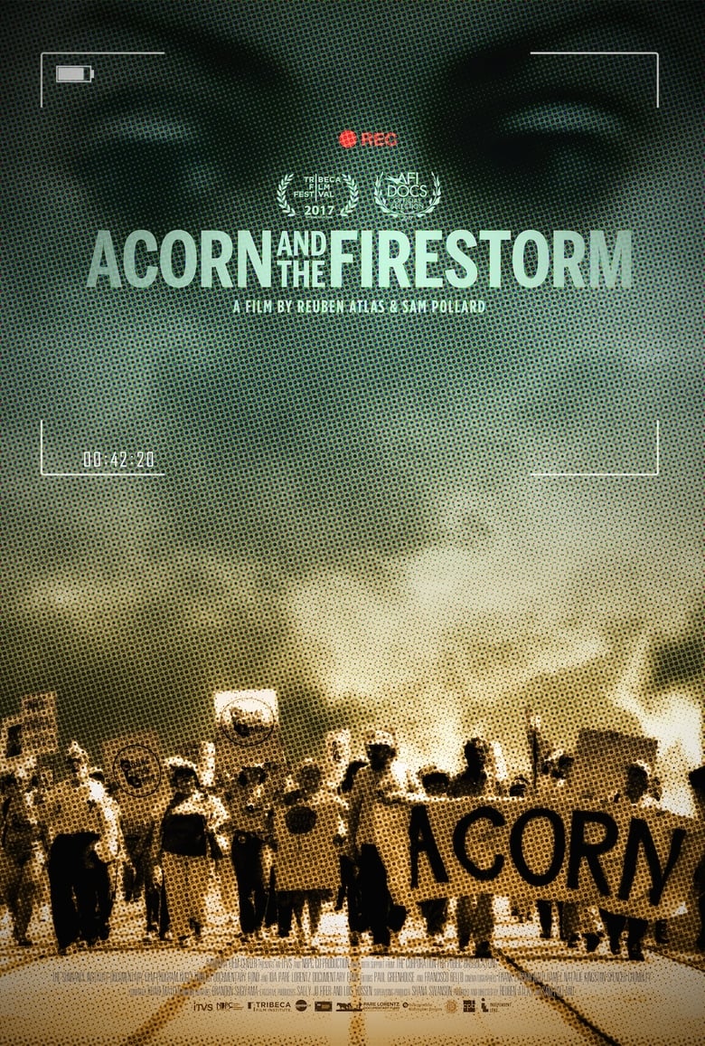 Cartel de acorn-and-the-firestorm