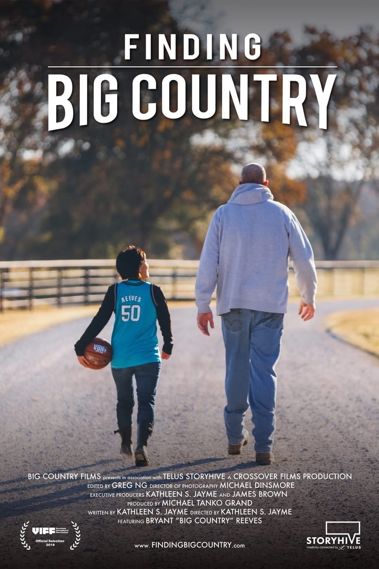 Cartel de finding-big-country