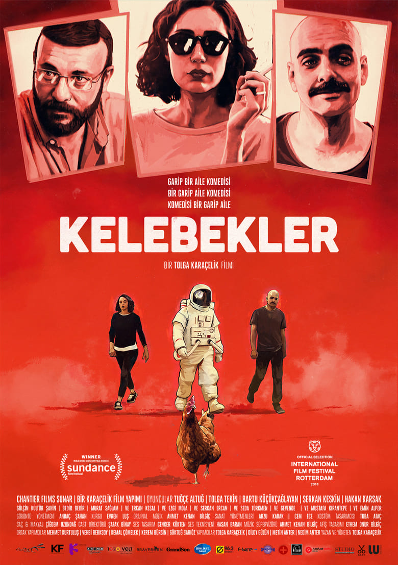 Cartel de kelebekler