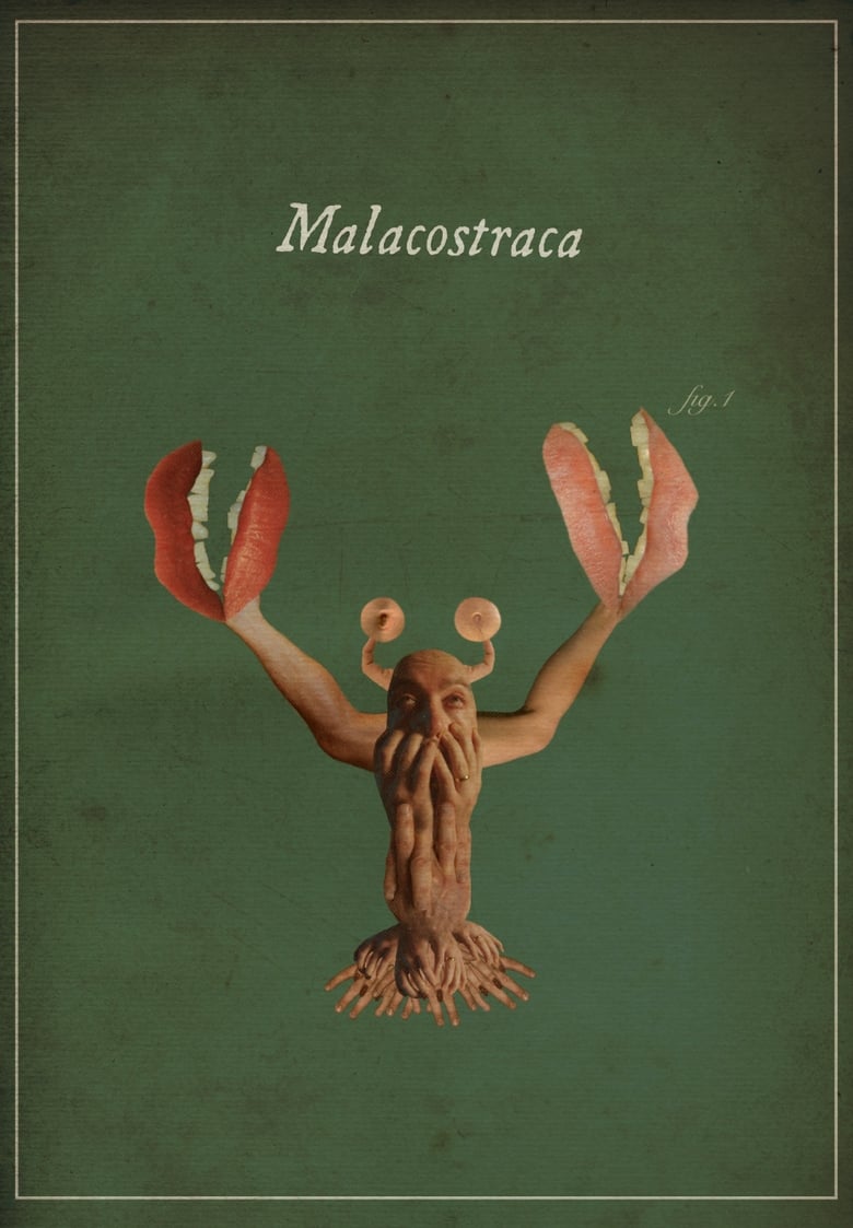 Cartel de malacostraca