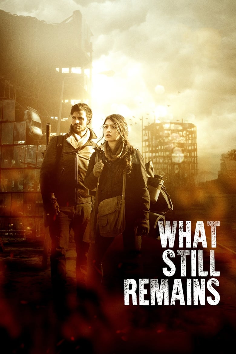 Cartel de what-still-remains