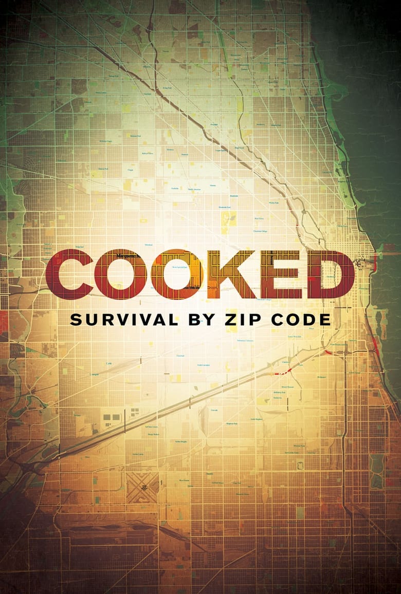 Cartel de cooked-survival-by-zip-code