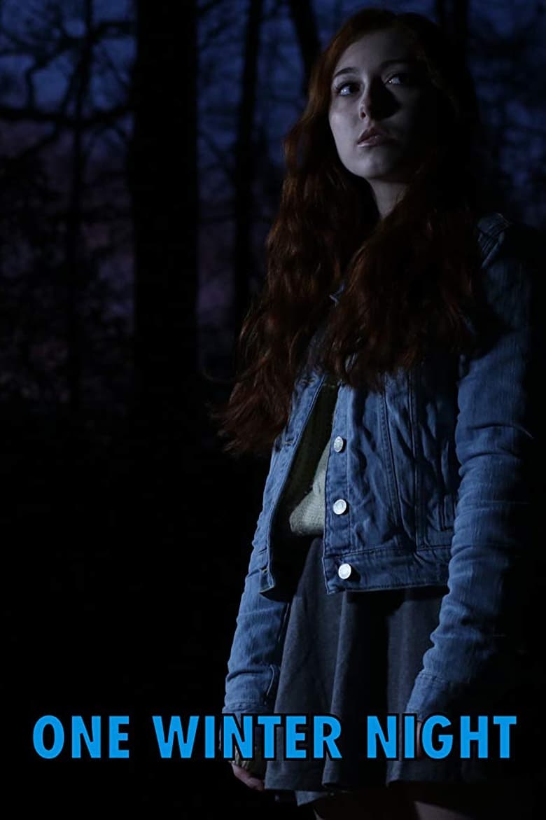 Cartel de one-winter-night