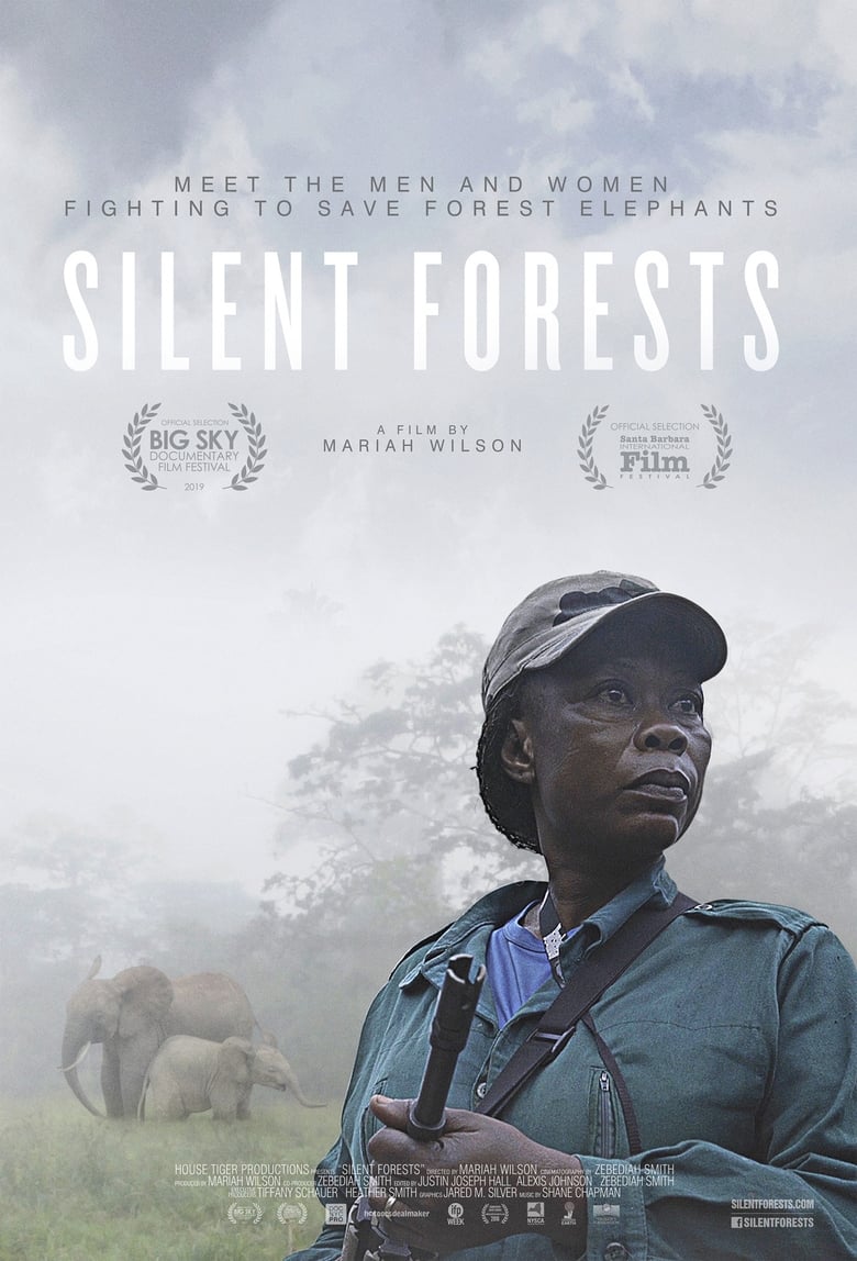 Cartel de silent-forests