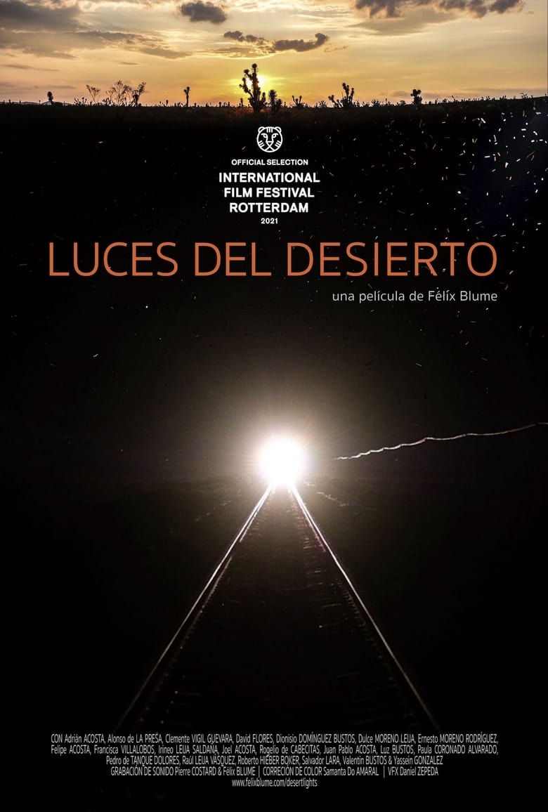 Cartel de luces-del-desierto
