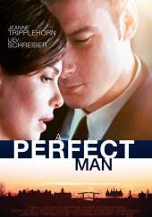 A Perfect Man