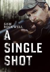 A Single Shot