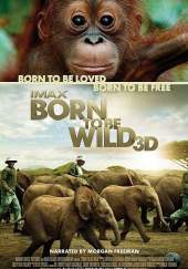 Born to Be Wild