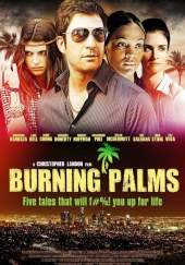 Burning Palms