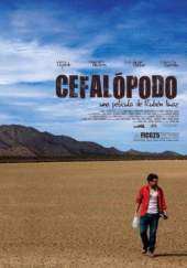 Cefalópodo