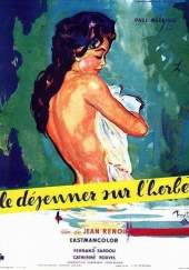 Comida sobre la hierba