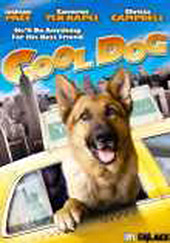 Cool dog