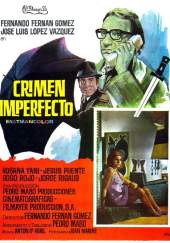 Crimen imperfecto