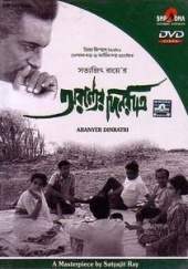 Days and Nights in the Forest