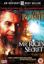 Mr. Rice's Secret