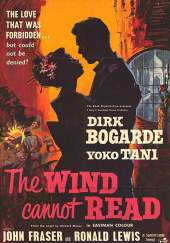 El viento no sabe leer