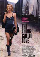 Esa cosa llamada amor