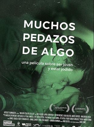 Cartel de Muchos pedazos de algo