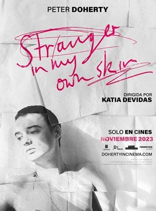 Cartel de Peter Doherty: Stranger in my own skin