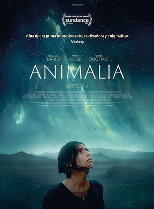 Animalia