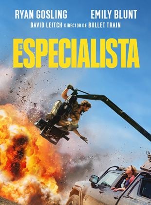 El especialista