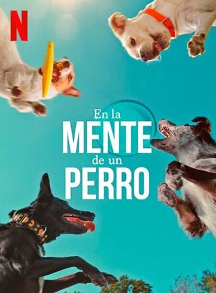 Cartel de En la mente de un perro