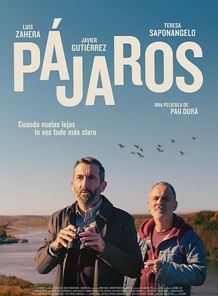 Pájaros
