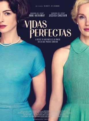 Cartel de Vidas perfectas