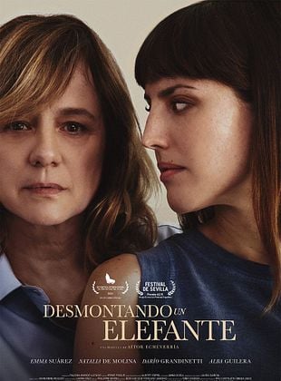 Desmontando un elefante