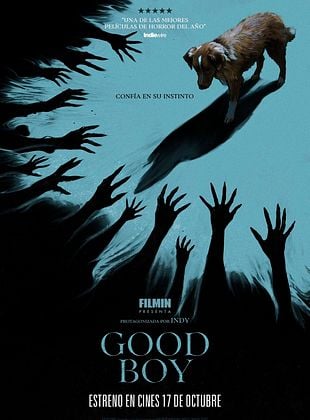 Cartel de Good Boy