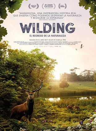 Cartel de Wilding, el regreso de la naturaleza