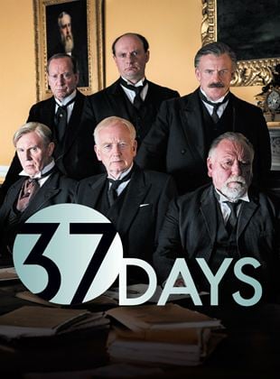 Cartel de 37 Días