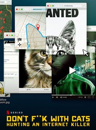 A los gatos ni tocarlos: Un asesino en Internet