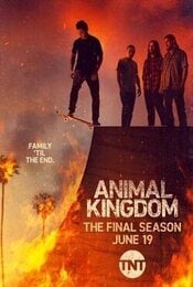 Cartel de Animal Kingdom