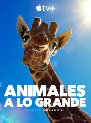 Cartel de Animales a lo grande