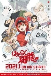 Cells at Work!